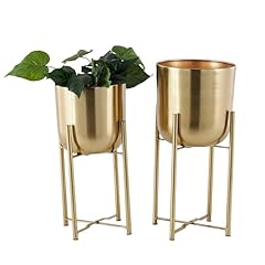 Cosmoliving cosmopolitan metal for sale  Delivered anywhere in USA 