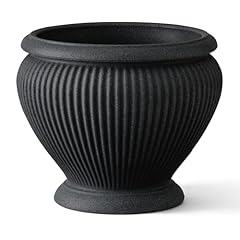 Arbora cannes urn for sale  Delivered anywhere in USA 