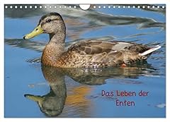 Leben enten calvendo gebraucht kaufen  Wird an jeden Ort in Deutschland