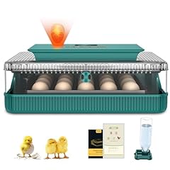 Chtoocy egg incubator for sale  Delivered anywhere in USA 