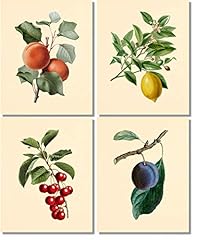 Fruit wall art for sale  Delivered anywhere in USA 