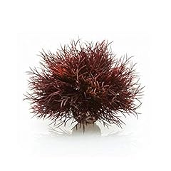 Biorb 46077 aquarien gebraucht kaufen  Wird an jeden Ort in Deutschland