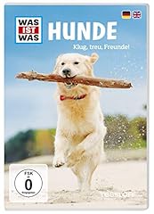 Dvd hunde . gebraucht kaufen  Wird an jeden Ort in Deutschland