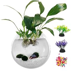 Kathson wall fish for sale  Delivered anywhere in USA 