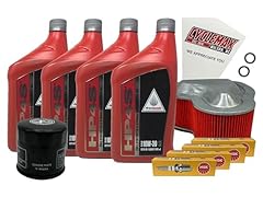 Cyclemax full synthetic for sale  Delivered anywhere in USA 
