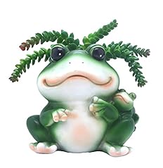Monmob frog succulent for sale  Delivered anywhere in USA 