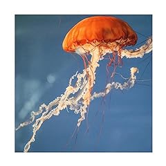 Trademark fine art for sale  Delivered anywhere in USA 
