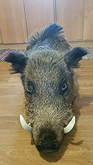 European wild boar for sale  Delivered anywhere in USA 