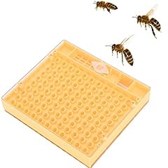 Queen bee breeding for sale  Delivered anywhere in USA 