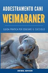 Addestramento cani weimaraner usato  Spedito ovunque in Italia 