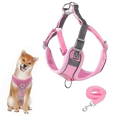 Hundegeschirr hundeleine set gebraucht kaufen  Wird an jeden Ort in Deutschland