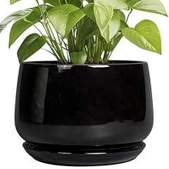 Epgardening ceramic plant for sale  Delivered anywhere in USA 
