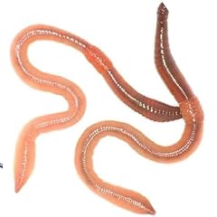 Wiggly wigglers garden for sale  Delivered anywhere in UK