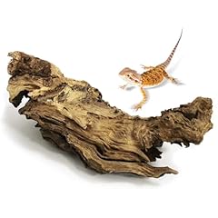 Kathson large natural for sale  Delivered anywhere in USA 