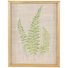 Framed fern leaf for sale  Delivered anywhere in USA 