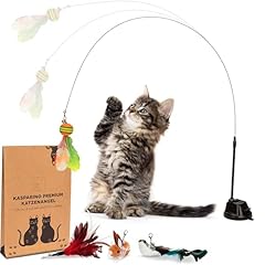 Kasparino katzenangel stabil gebraucht kaufen  Wird an jeden Ort in Deutschland