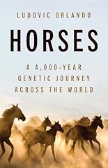 Horses 000 year for sale  Delivered anywhere in USA 