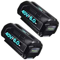 2pack replacement ryobi for sale  Delivered anywhere in USA 