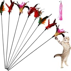 Dyiouxin katzenspielzeug spiel gebraucht kaufen  Wird an jeden Ort in Deutschland