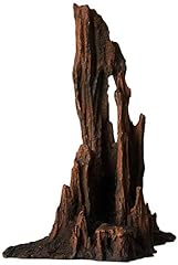 Underwater treasures petrified for sale  Delivered anywhere in USA 