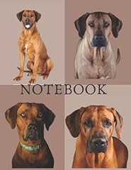Rhodesian ridgeback 8.5x11in for sale  Delivered anywhere in UK