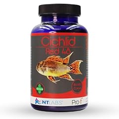 Labs pro cichlid for sale  Delivered anywhere in UK