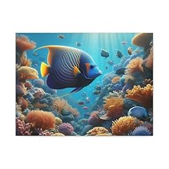 Angelfish coral reefs for sale  Delivered anywhere in USA 