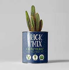 Cactus grow kit for sale  Delivered anywhere in UK