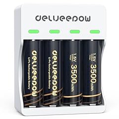 Delyeepow piles rechargeables d'occasion  Livré partout en France