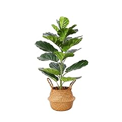 Ferrgoal artificial plants for sale  Delivered anywhere in USA 