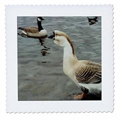 25x25 inch quilt for sale  Delivered anywhere in USA 
