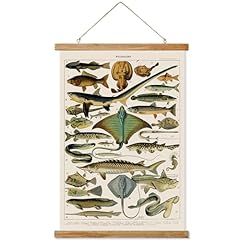 Ovfovy vintage fish for sale  Delivered anywhere in USA 