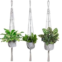 Pack macrame plant for sale  Delivered anywhere in USA 