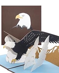 Pop karte adler gebraucht kaufen  Wird an jeden Ort in Deutschland