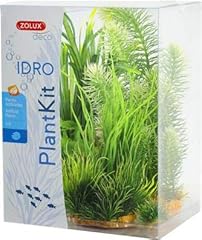 plantes aquarium discus d'occasion  Livré partout en France