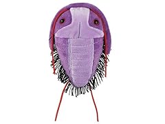 Giantmicrobes trilobite plush for sale  Delivered anywhere in Ireland