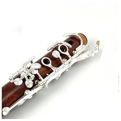 Professional clarinet clarinet for sale  Delivered anywhere in UK
