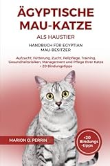 ägyptische mau katze gebraucht kaufen  Wird an jeden Ort in Deutschland