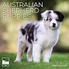 2026 wall calendar for sale  Delivered anywhere in USA 