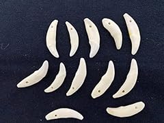 Coyote teeth beads for sale  Delivered anywhere in USA 