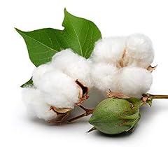 Kviter white cotton for sale  Delivered anywhere in USA 