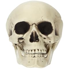 Folat 23916 halloween gebraucht kaufen  Wird an jeden Ort in Deutschland