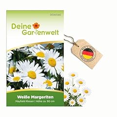 Margerite weiß samen gebraucht kaufen  Wird an jeden Ort in Deutschland
