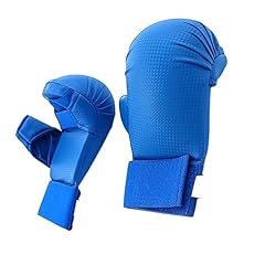 Rockible guanti kickboxing usato  Spedito ovunque in Italia 