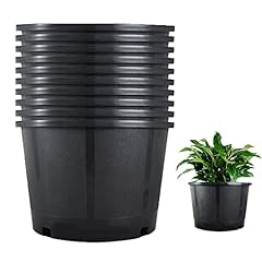 Plant pots flower for sale  Delivered anywhere in USA 