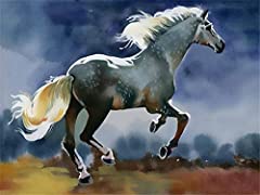 5D DIY Diamond Painting by Number Kits,Running Horse for sale  Delivered anywhere in Canada