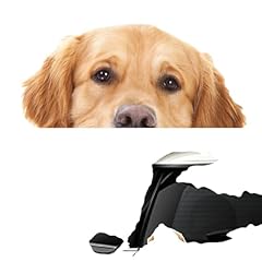 Golden retriever dog for sale  Delivered anywhere in USA 