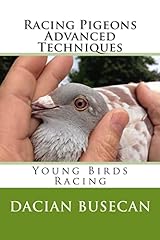 Racing pigeons advanced for sale  Delivered anywhere in USA 