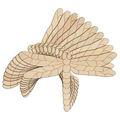 10x wooden dragonfly for sale  Delivered anywhere in UK