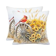 Doobicy 18x18inch summer for sale  Delivered anywhere in USA 